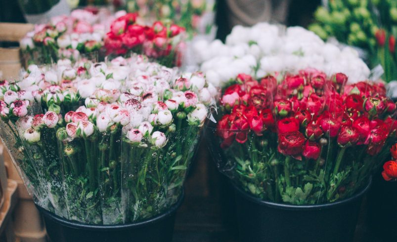 Get Beautiful Orchid Plants Delivered in Dubai from Lovely Roses